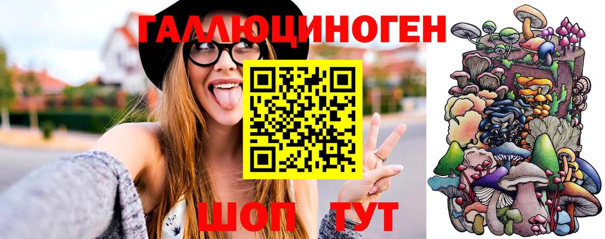 Ишим  Псилоцибиновые грибы GOLDEN TEACHER  Вход с VPN 