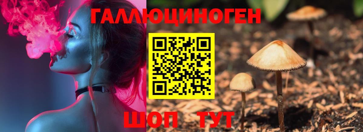 Псилоцибиновые грибы Magic Shrooms Ишим